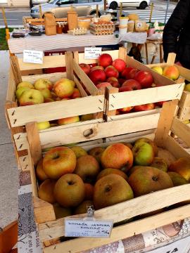 TRŽNICA ŠKOFLJICA 7